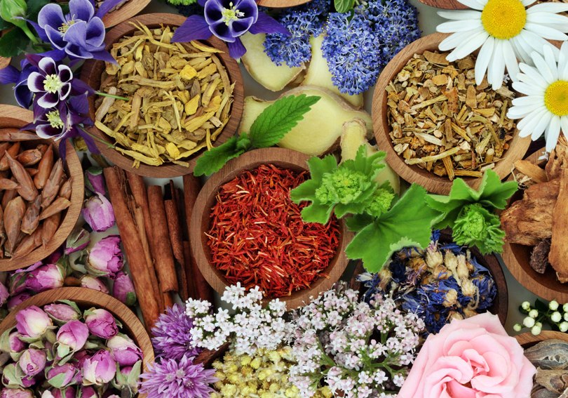 Adrenal Fatigue vs Chronic Fatigue